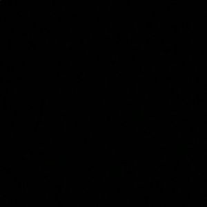 Meet your Posher, Trishana